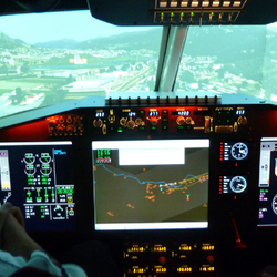 Simulatorflug, Im Privat Jet