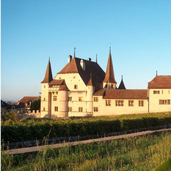 Besuch und Degustation, auf einem Weingut in Cressier