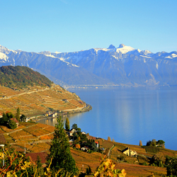 Wein Degustation , Über 200 Weinkeller zur Auswahl