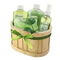 Wellness Geschenkset Shiatsu, mit Aloe Vera