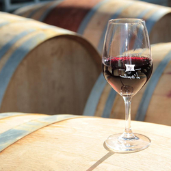 Dégustation de vin pour deux, Cave L'Orpailleur (VS) avec apéritif et 2 bouteilles offertes