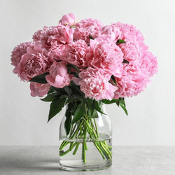 Blumen-Abo Deluxe, 3 Lieferungen