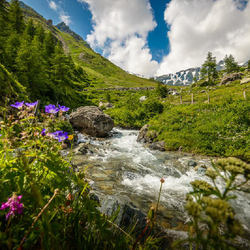 Kurzferien in den Bergen für 2, inkl. 4-Gang Dinner & Trottinettabfahrt
