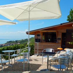 Weindegustation für 2 Personen, Domaine Bovy (VD) inkl. Besuch, Apéro und Geschenkpaket