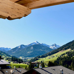 Bergruf in Alpbach, 2 Nächte inkl. E-Bikes, Spa und Gourmetmenü für 2 Personen