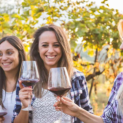 Weinerlebnis-Rebbergführung, Rebwanderung, Weindegustation und Kellerbesichtigung