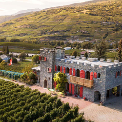 Œnotourisme dans un château, 1 nuit avec dégustation de vin et assiette valaisanne | en hiver