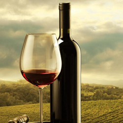 Vin rouge médaillé d'or, Note 91/100, 6 bouteilles d'exception