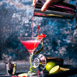 Cocktail Party a casa, buono regalo per 2 bottiglie di Premix Cocktail + 1 Shaker Set