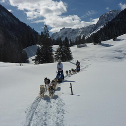 Husky exclusif, pour 2 personnes