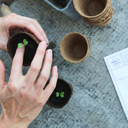 Saatgut-Jahresabo, 12 monatliche Bio-Saatgut Sendung von Urbanroots