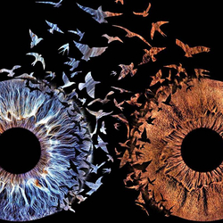 Iris Paar Fotografie, Love Design auf Leinwand 40x40 cm