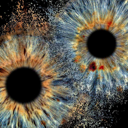 Iris Paar Fotografie, 40x40cm, auf Acrylglas mit Explosions Effekt