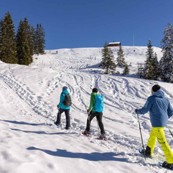 Schneeschuhtour im Mythengebiet, inkl. Fondue und kurze Schlittelabfahrt
