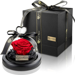 Rote Rose im Glas, ewig blühend