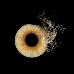 Photographie d'iris à Montreux, Sous format digital pour 1 personne