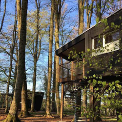 Waldhütten-Übernachtung, inkl. Frühstück für 2 Personen