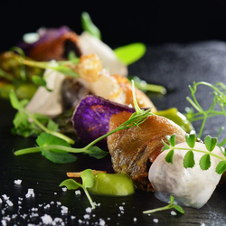 Gourmet-Dinner in Zürich, im 14-Gault-Millau-Restaurant (4-Gang-Menu) für 2