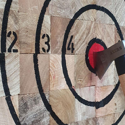 Lancer de hache, à bex 1h30 pour 2 personnes