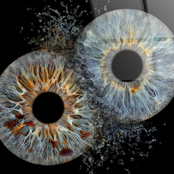 Iris Paar Fotografie, 40x40cm, auf Acrylglas mit Splash Effekt