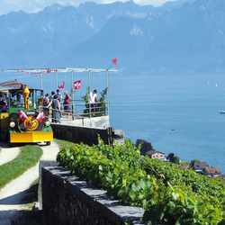 Tour en train & dégustation de vin, Vignoble de Lavaux, pour 2 personnes