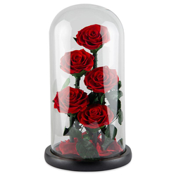 Echte Rosen im Glas, ewig blühend, 23 x 33 cm