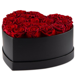 Flowerbox , 20 roses éternelles