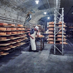 Käse & Wein Degustation, im historischen Käsekeller für 2 Personen