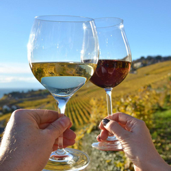 Vins & Produits du terroir, Dégustation conviviale pour 2 personnes