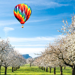 Basel Ballonfahrt in grosser Höhe , 2h Fahrt in der Region Basel für 1 Person