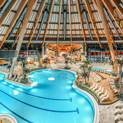 Nuit dans un 4* à Bâle, Entrée à aquabasilea pour la journée et un menu à 3 plats inclus, pour 2