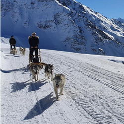 Chiens de traineau , Avec husky pour 2 personnes
