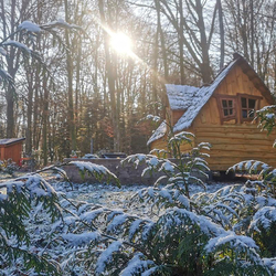 Séjour paisible en cabane duo, Avec petit déjeuner pour 2 personnes