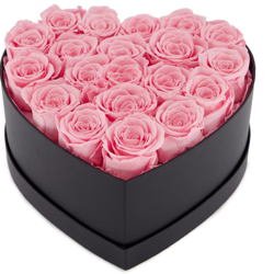 Rosenbox rosa, 20 ewig blühende Rosen