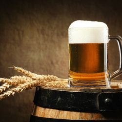 Bierbraukurs 1 Zürich für 2, Bier selber brauen für Einsteiger