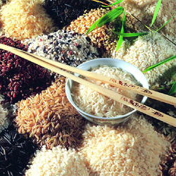 5 Elemente Ernährungs-Seminar, nach TCM