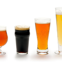 Bierbrauseminar Anfänger, Halbtageskurs