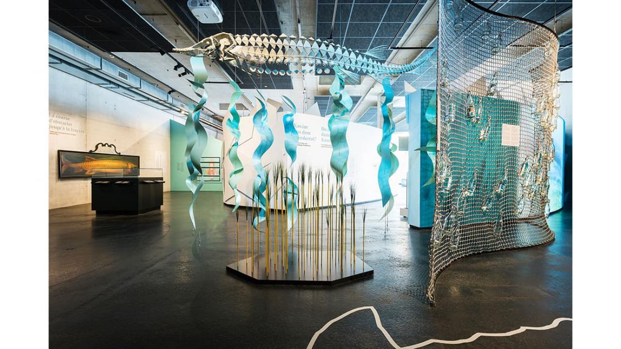 Tropenhaus Frutigen - Eintritt für 1 Person 13