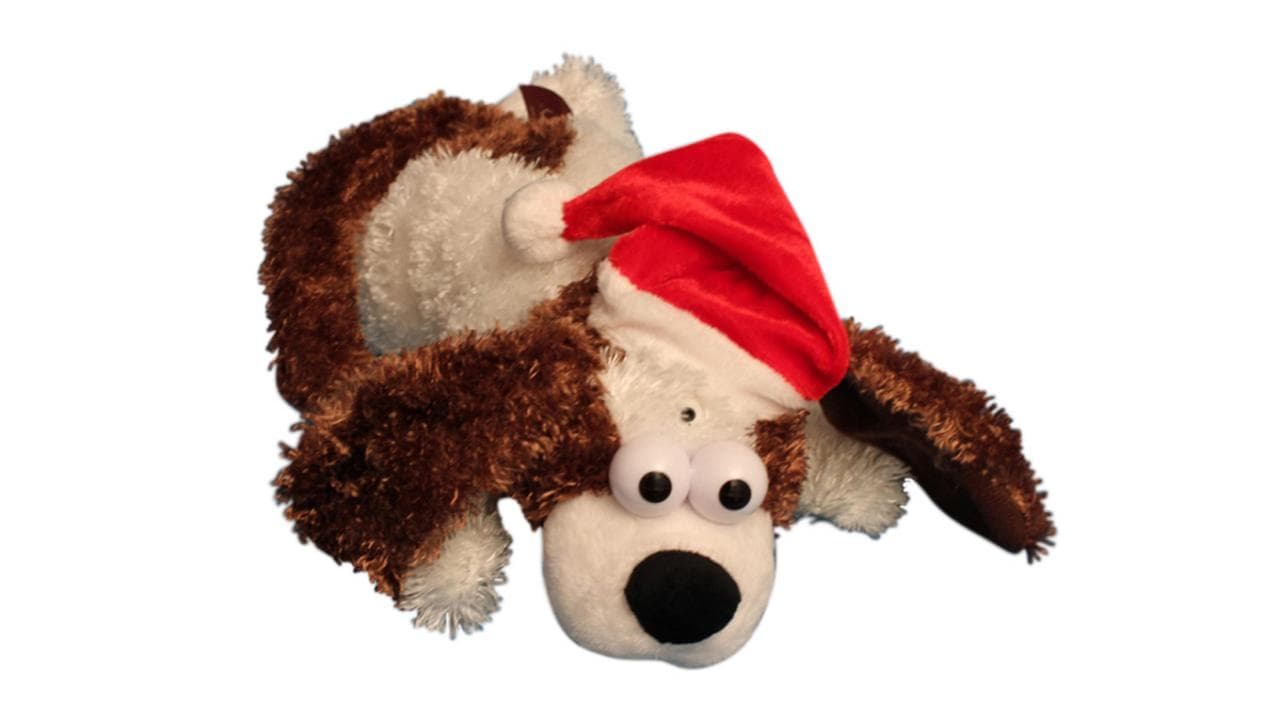 Hund mit Weihnachtsmütze mit Lichtsensor