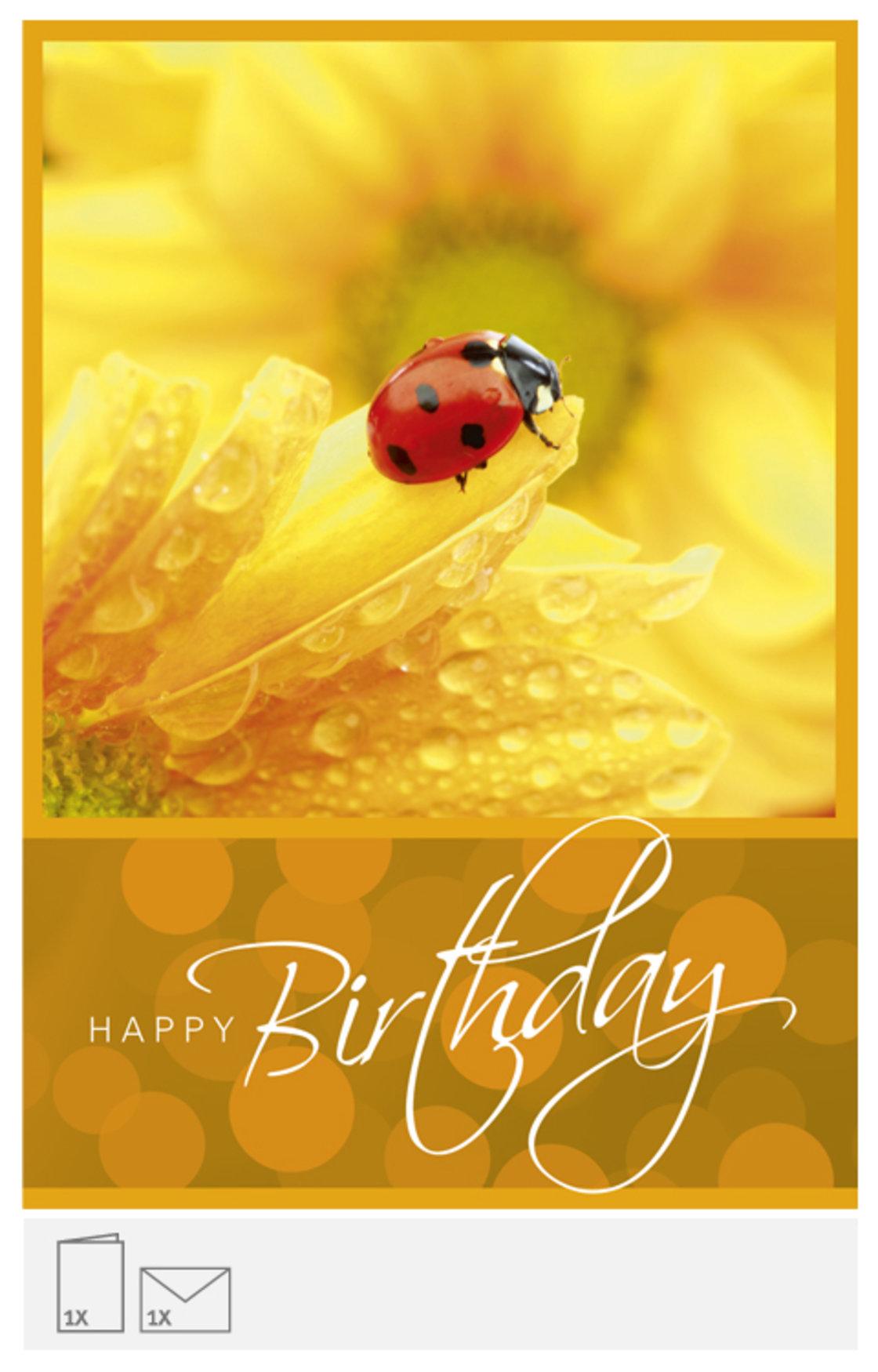 Carte D Anniversaire Avec Coccinelle Cadeaux24 Carte D Anniversaire Avec Coccinelle Cadeaux24