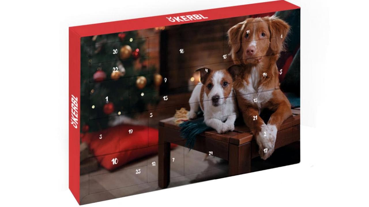 Hunde Adventskalender mit Spiel und Pflegeprodukten 1