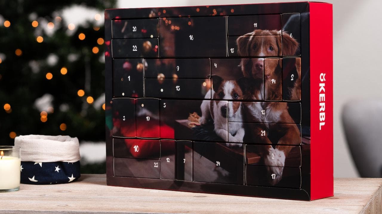 Calendrier de l