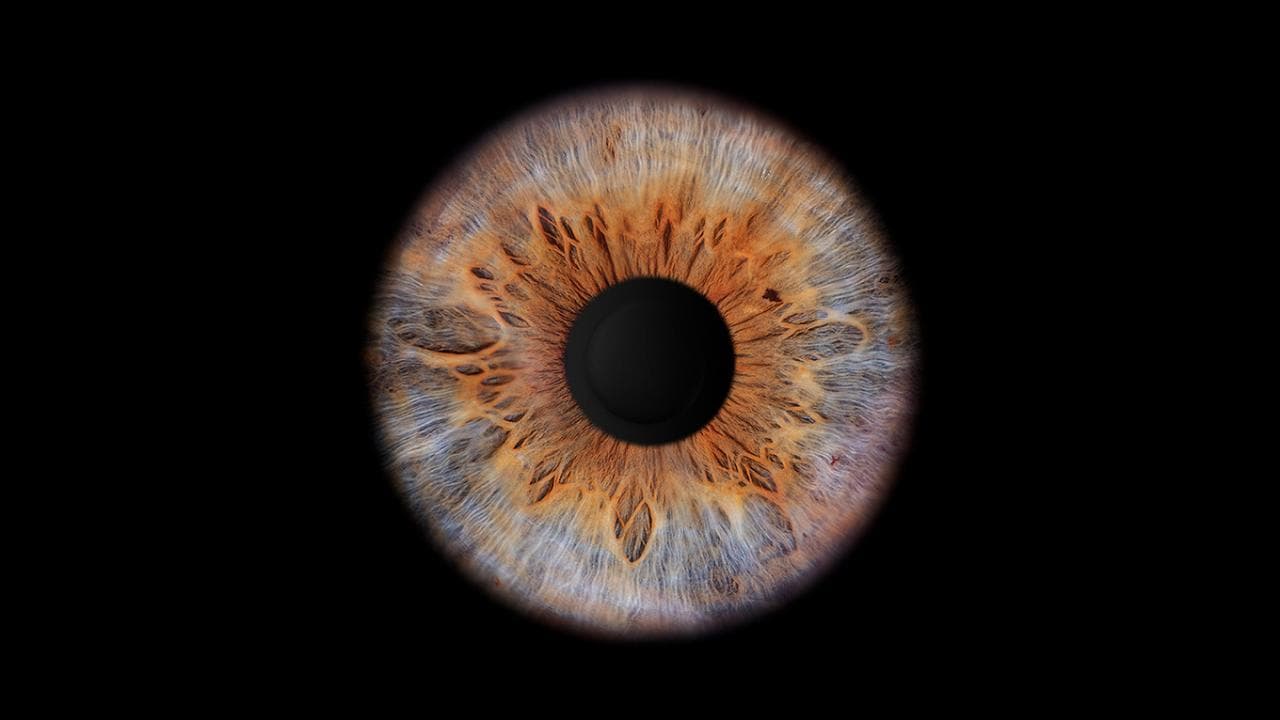 Iris Shooting für 2 Personen 2