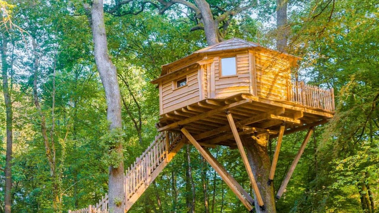 Baumhaus-Übernachtung - für 2 Personen inkl. Frühstück
