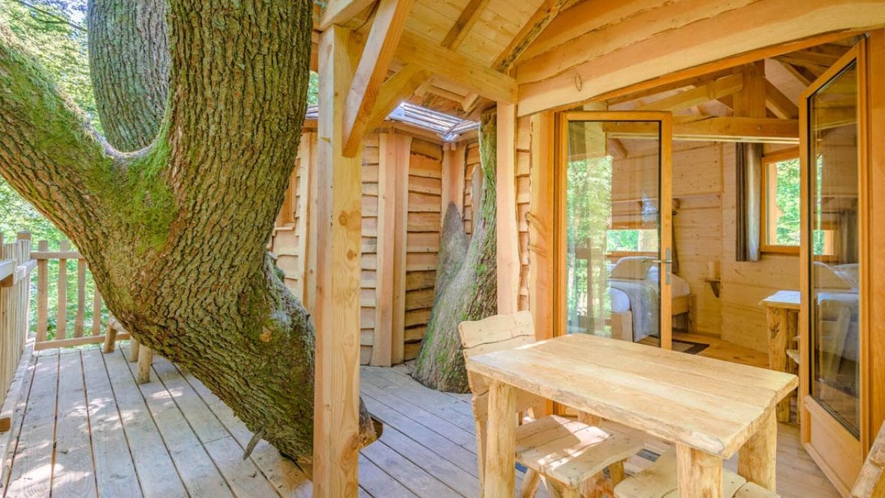 Baumhaus-Übernachtung - für 2 Personen inkl. Frühstück 7