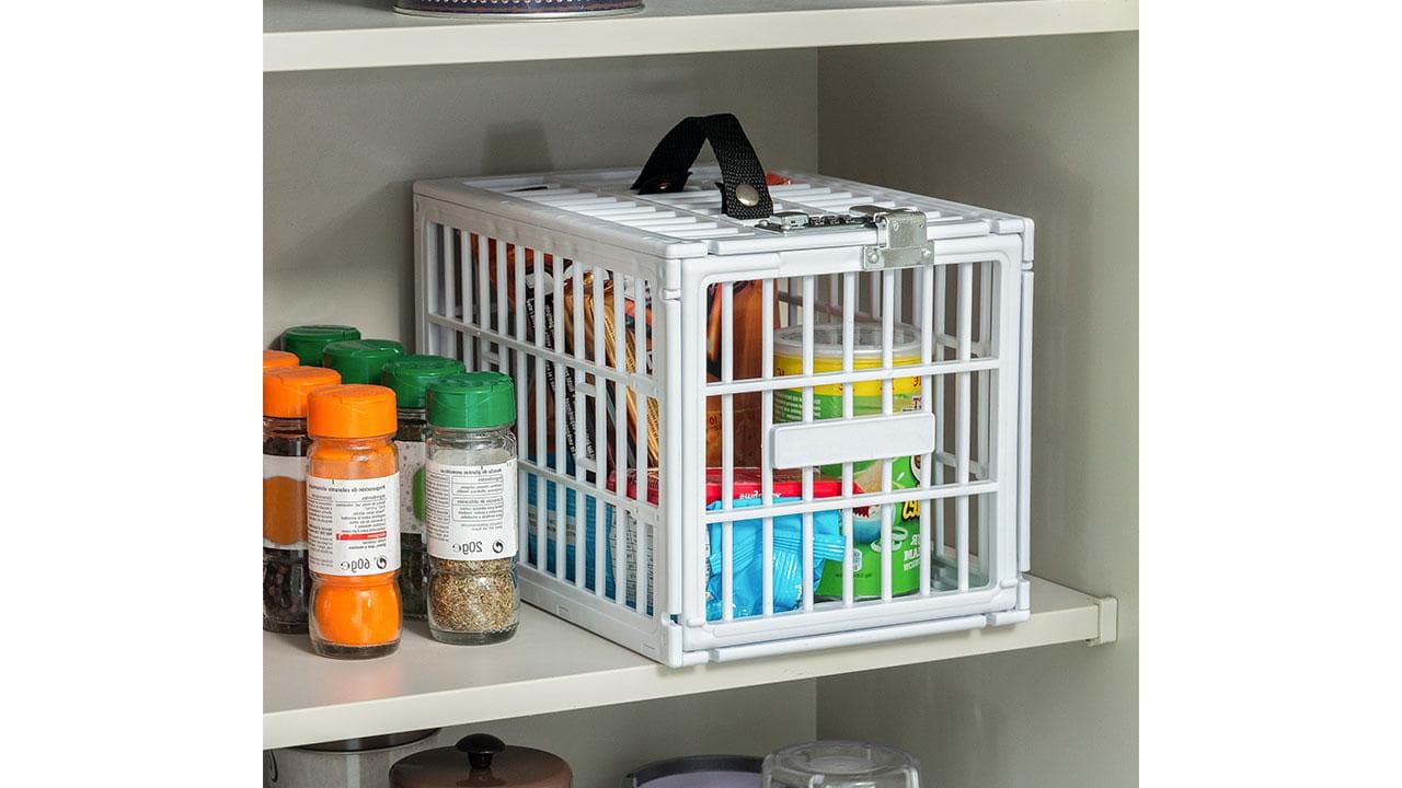 Cage alimentaire avec fermeture 3