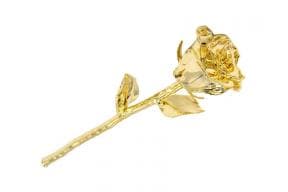 Goldrose - 28cm, in Luxus-Lederbox