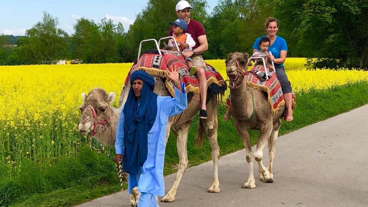 Monter à dos de chameau  Pour toute la famille